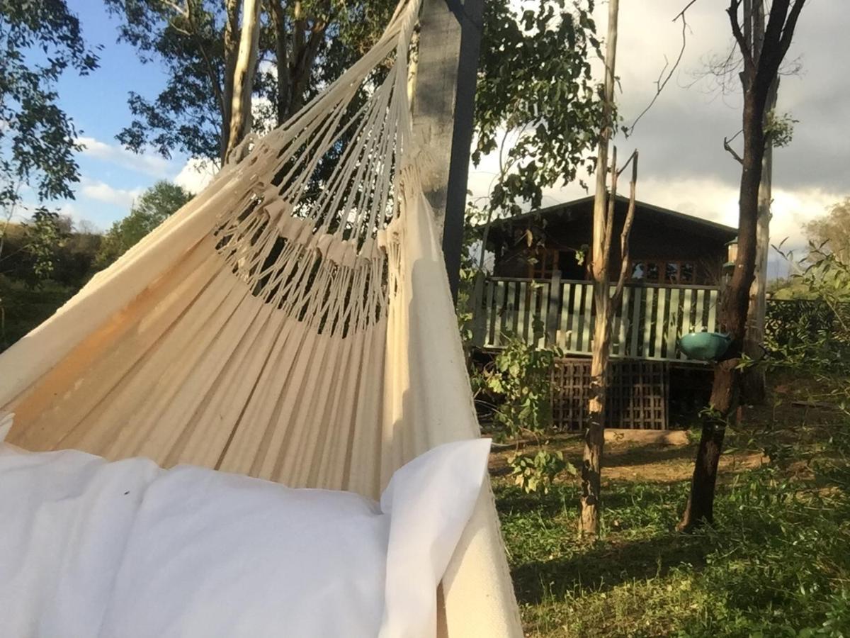 Lodge A Place To Be